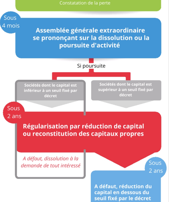 法国公司对股权重建的程序，于2023年有新定义