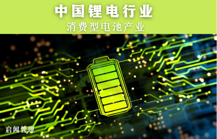 中国锂电池行业报告（IV）- 消费型电池产业